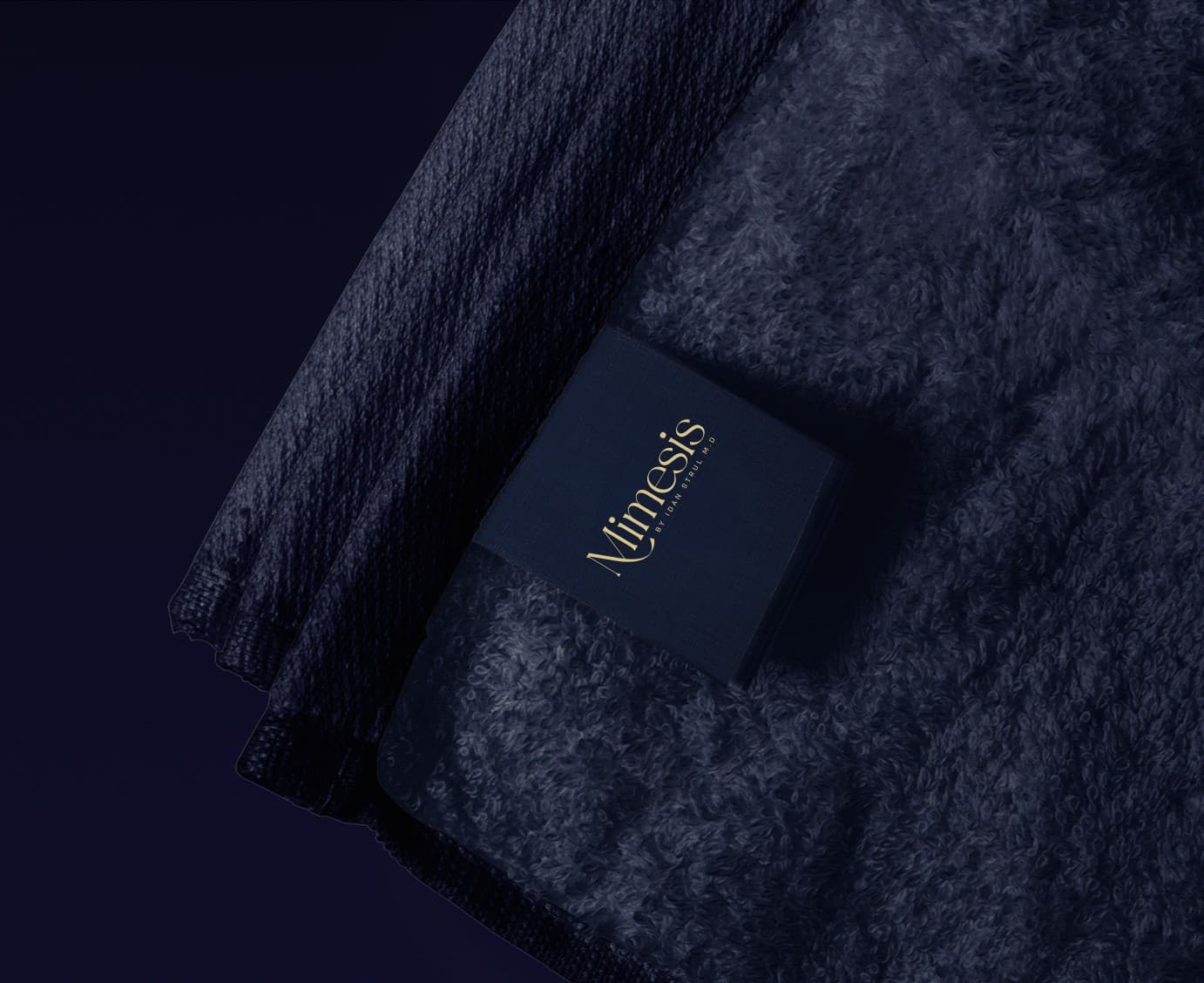 Mimesis — תמונה 2